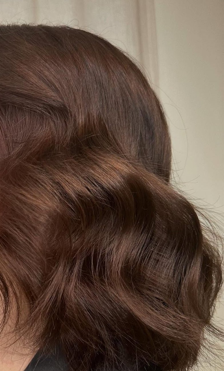 Chocolate Brown